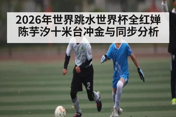 2026年世界跳水世界杯全红婵陈芋汐十米台冲金与同步分析